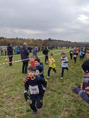 Foto des Albums: Crosslauf