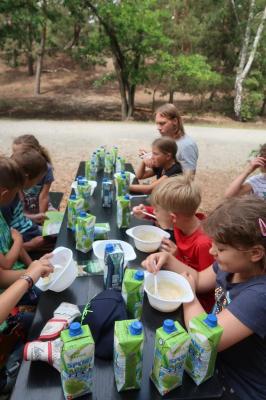 Foto des Albums: Der Hort in der Wagenburg 2019
