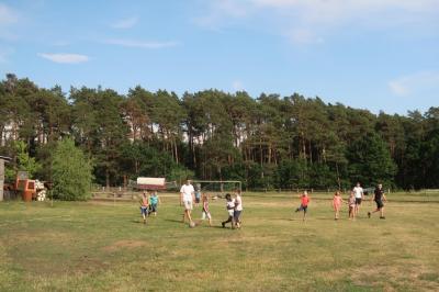 Foto des Albums: Der Hort in der Wagenburg 2019