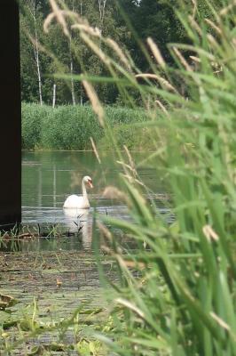 Foto des Albums: Mit dem Schlauchboot unterwegs 2018