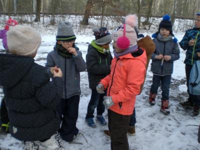 Foto des Albums: Winterfreuden 2018
