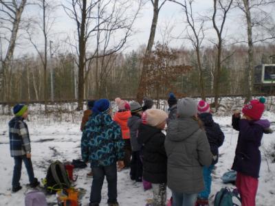 Foto des Albums: Winterfreuden 2018