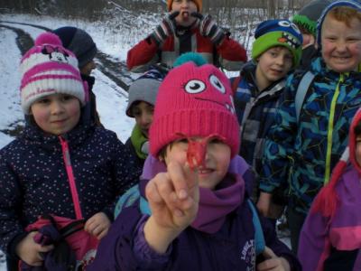 Foto des Albums: Winterfreuden 2018