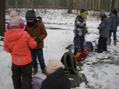 Foto des Albums: Winterfreuden 2018