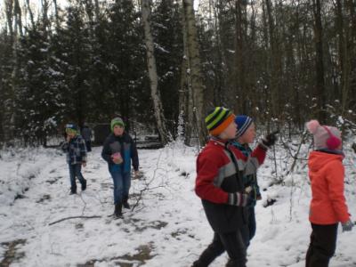 Foto des Albums: Winterfreuden 2018