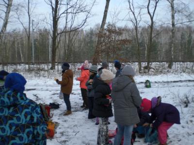 Foto des Albums: Winterfreuden 2018