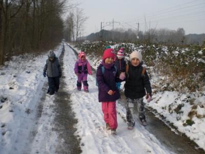 Foto des Albums: Winterfreuden 2018
