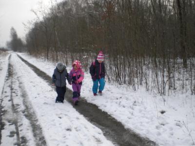 Foto des Albums: Winterfreuden 2018