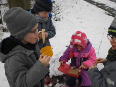 Foto des Albums: Winterfreuden 2018