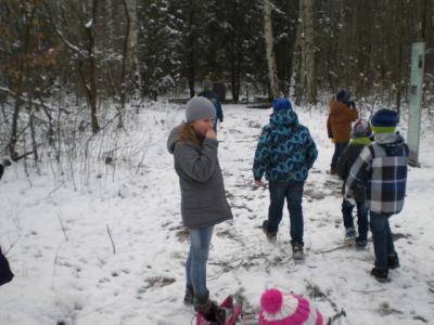 Foto des Albums: Winterfreuden 2018