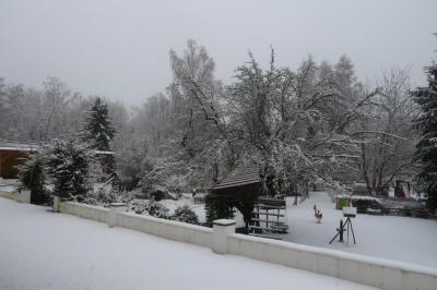 Foto des Albums: Winterbilder im Frühling 2018