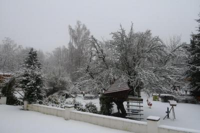 Foto des Albums: Winterbilder im Frühling 2018