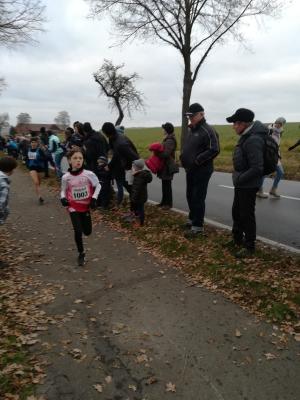 Foto des Albums: Volksbank-Mitte Silvesterlauf um den Seeburger See