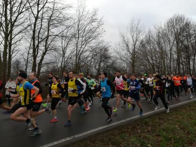 Foto des Albums: Volksbank-Mitte Silvesterlauf um den Seeburger See
