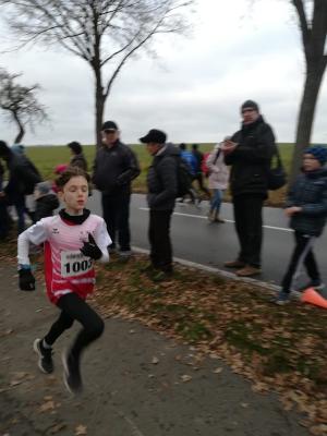 Foto des Albums: Volksbank-Mitte Silvesterlauf um den Seeburger See