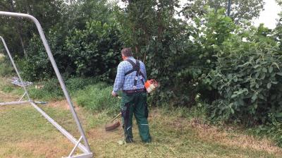 Foto des Albums: Platzarbeit