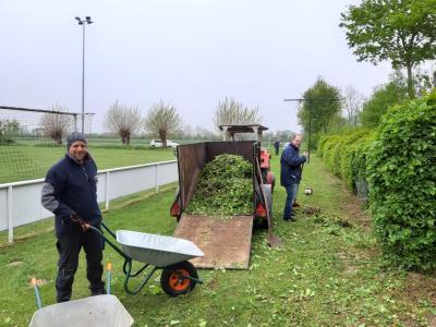 Foto des Albums: Platzarbeit