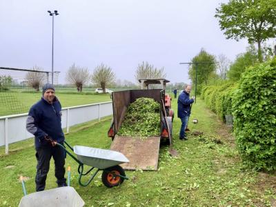 Foto des Albums: Platzarbeit
