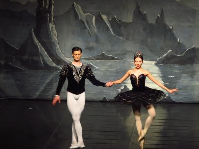 Foto des Albums: Ballett "Schwanensee"