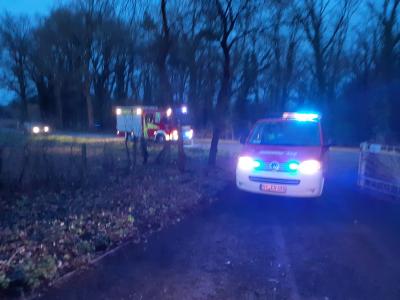 Foto des Albums: Flächenbrand an der Berger Straße