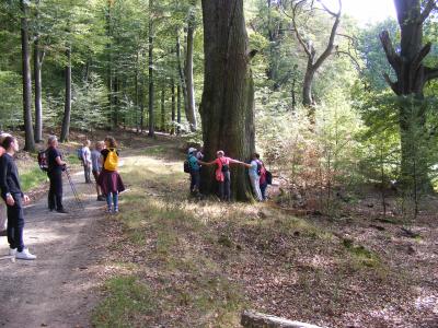 Foto des Albums: TSG Herbstwanderung (22.09.2019)