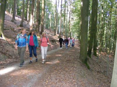 Foto des Albums: TSG Herbstwanderung (22.09.2019)