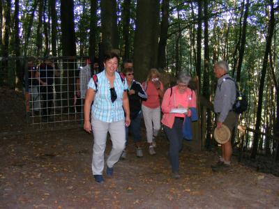 Foto des Albums: TSG Herbstwanderung (22.09.2019)