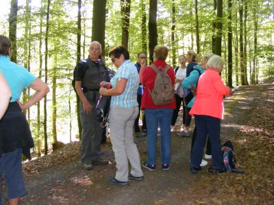 Foto des Albums: TSG Herbstwanderung (22.09.2019)