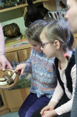 Foto des Albums: Vorschulkinder auf Abschluss-Rüste 2019