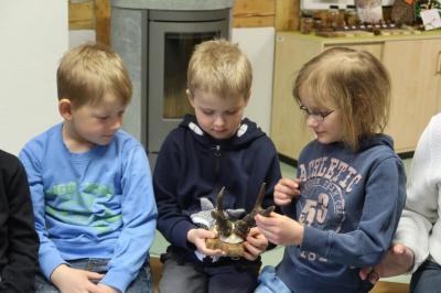 Foto des Albums: Vorschulkinder auf Abschluss-Rüste 2019