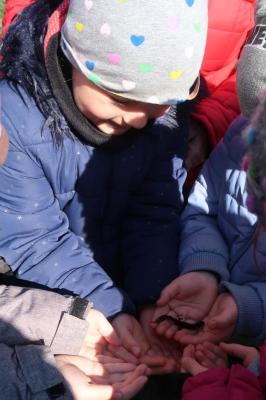 Foto des Albums: Vorschulkinder auf Abschluss-Rüste 2019