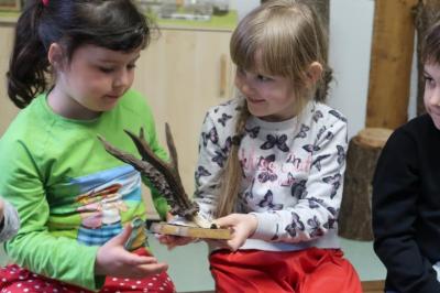 Foto des Albums: Vorschulkinder auf Abschluss-Rüste 2019