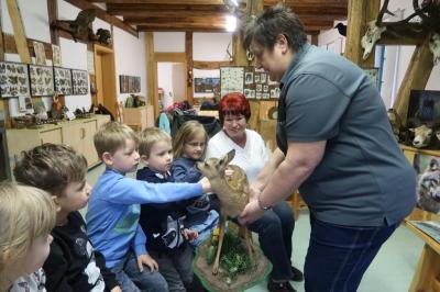 Foto des Albums: Vorschulkinder auf Abschluss-Rüste 2019