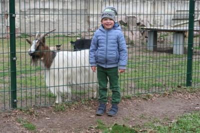 Foto des Albums: Vorschulkinder auf Abschluss-Rüste 2019