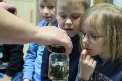 Foto des Albums: Vorschulkinder auf Abschluss-Rüste 2019