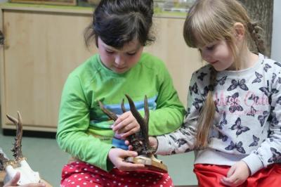 Foto des Albums: Vorschulkinder auf Abschluss-Rüste 2019