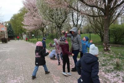 Foto des Albums: Vorschulkinder auf Abschluss-Rüste 2019