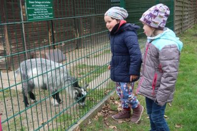 Foto des Albums: Vorschulkinder auf Abschluss-Rüste 2019