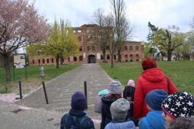 Foto des Albums: Vorschulkinder auf Abschluss-Rüste 2019