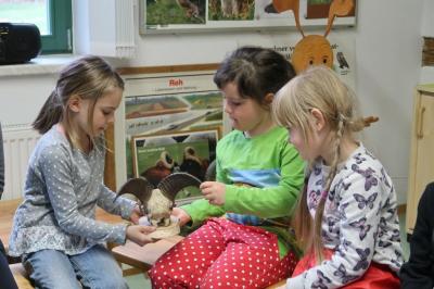 Foto des Albums: Vorschulkinder auf Abschluss-Rüste 2019