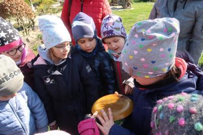 Foto des Albums: Vorschulkinder auf Abschluss-Rüste 2019