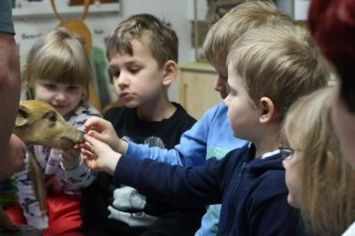 Foto des Albums: Vorschulkinder auf Abschluss-Rüste 2019