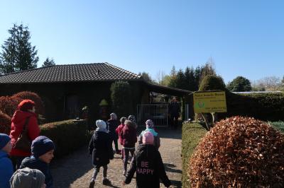 Foto des Albums: Vorschulkinder auf Abschluss-Rüste 2019