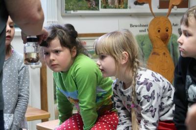 Foto des Albums: Vorschulkinder auf Abschluss-Rüste 2019