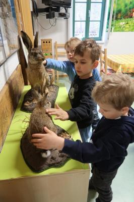 Foto des Albums: Vorschulkinder auf Abschluss-Rüste 2019