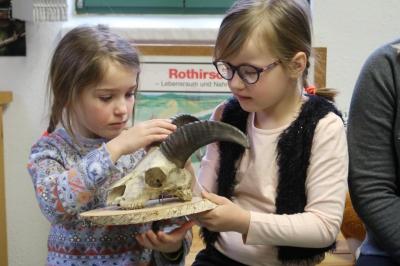Foto des Albums: Vorschulkinder auf Abschluss-Rüste 2019