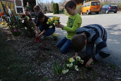 Foto des Albums: Der Frühling kehrt bei uns ein! 2019