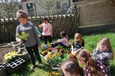 Foto des Albums: Der Frühling kehrt bei uns ein! 2019