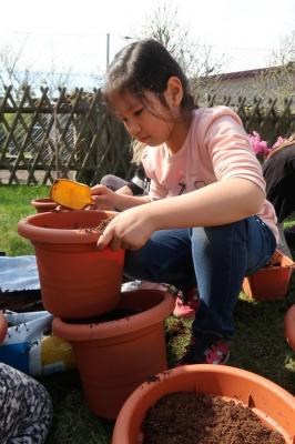 Foto des Albums: Der Frühling kehrt bei uns ein! 2019