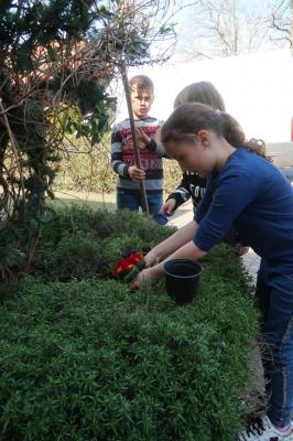 Foto des Albums: Der Frühling kehrt bei uns ein! 2019